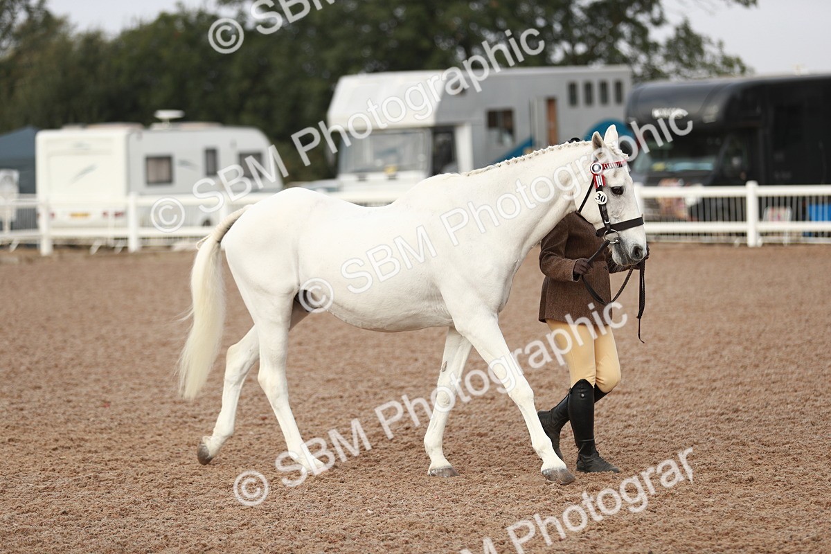 SBM_09490 - Class 201 Best Turned Out IH