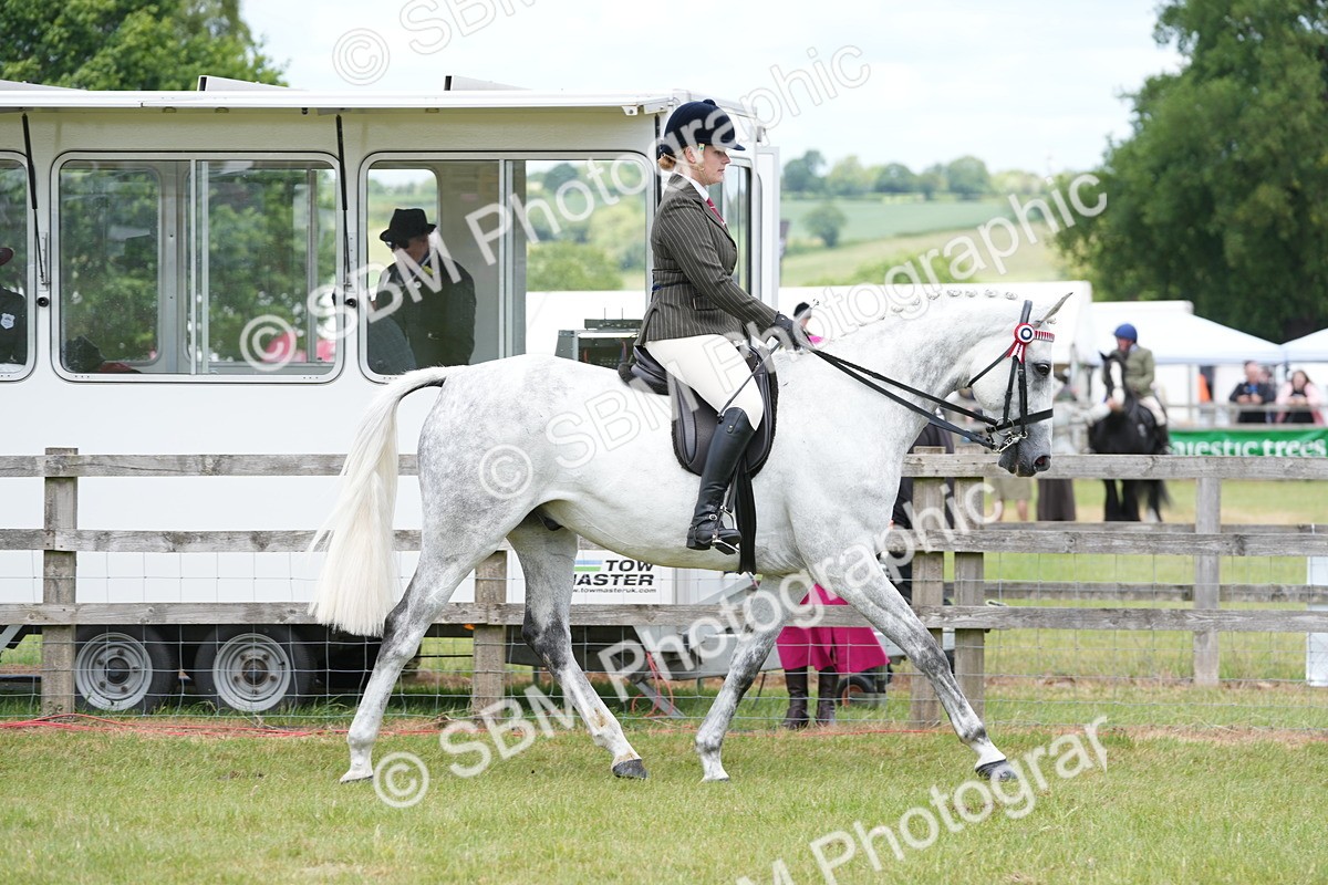 SBM_16149 - Class 105-106 - RIHS Riding Horses