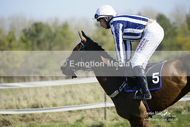 PtP 270222 17 - South & West Wilts Point-to-Point Larkhill 27/02/22