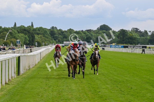 140624-Race 4-Havana Gila-4461 - Race 4 3.35pm Seat Unique Ganton Stakes