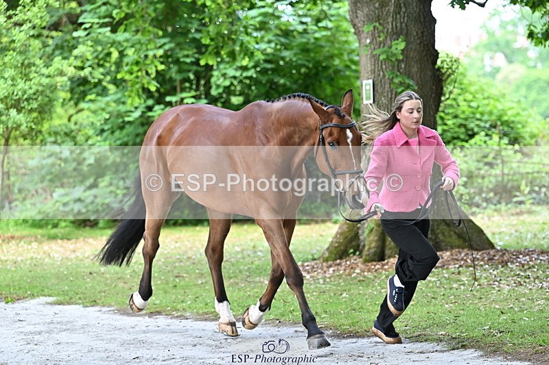 250521A-143858-00141 - A-013-Marianna.Sawyer-KINGSTON