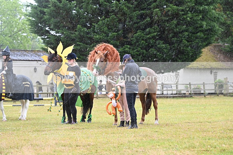 WJ6_9378 - Class 11 Fancy Dress