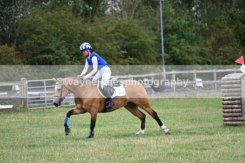WJ7_4857 - All of 80cm