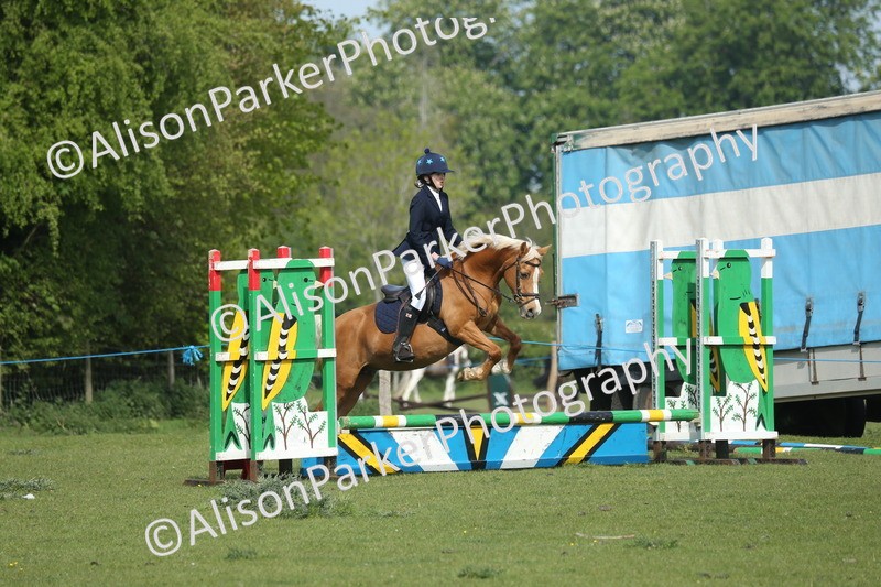20260426-0243 - Class 13 - Rookie Jumping 50cm