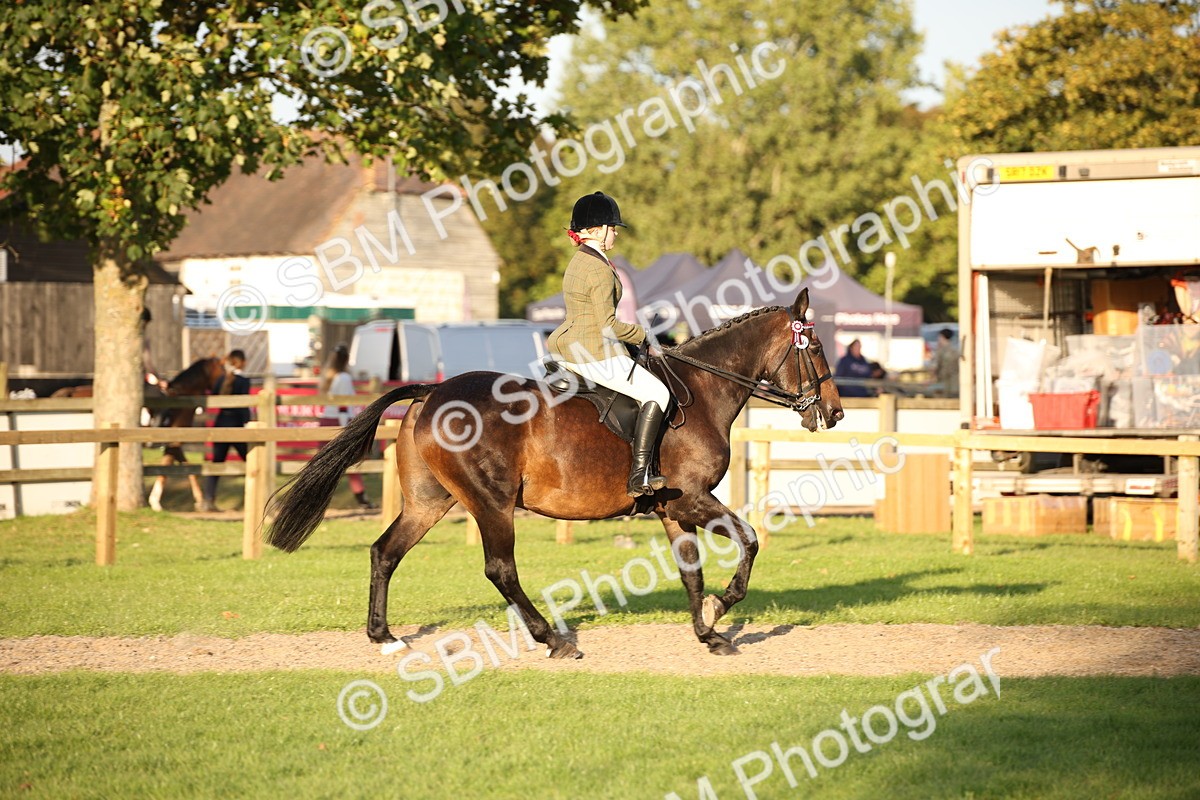 SBM_54454 - S27 - Mature Veteran - Ridden