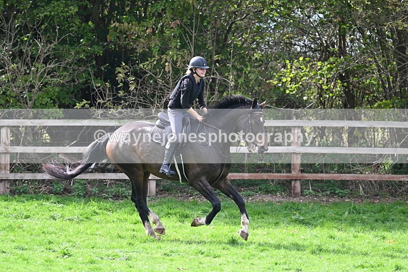 WJ7_9850 - Time 13:13 to 13:55