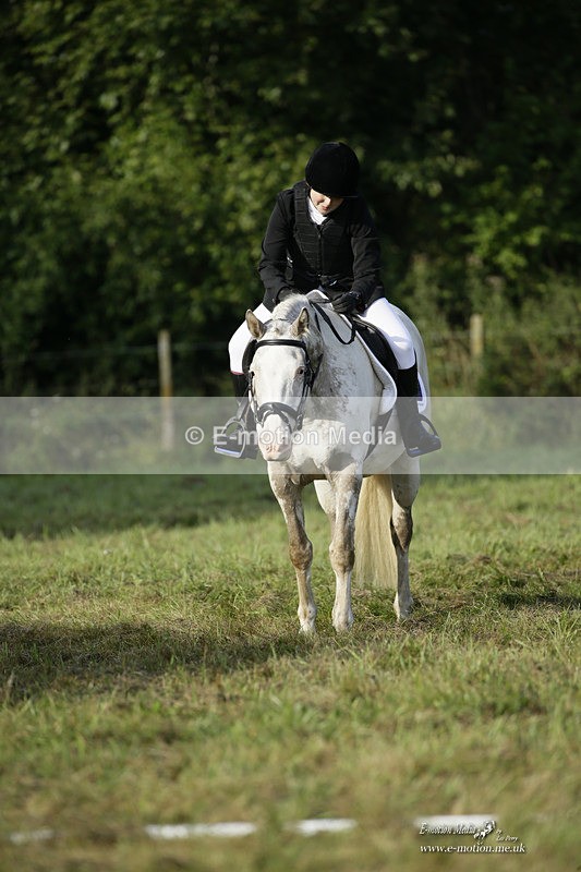 BVRC 120921 32 - Bourne Valley Riding Club UA Dressage & Show Jumping 12/09/21