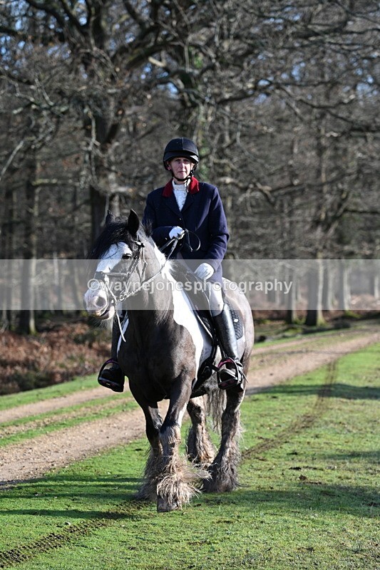 WJ7_7835 - Line 3 (no line 4 or 5)