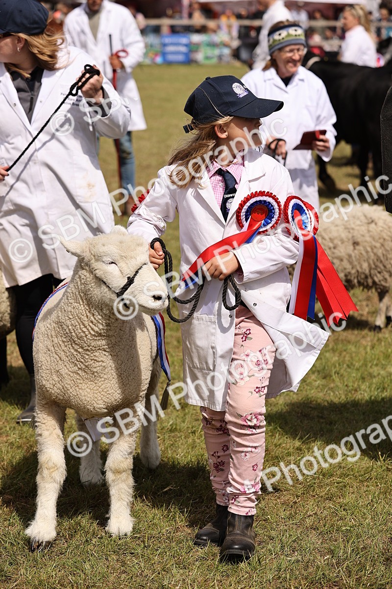 SBM_16926 - Grand Parade