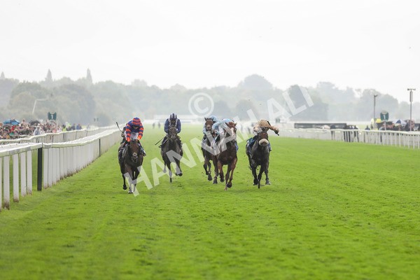 080924-Race 4-Zain Blue-4464 - Race 4 3.25pm PJ Staffing Group Handicap