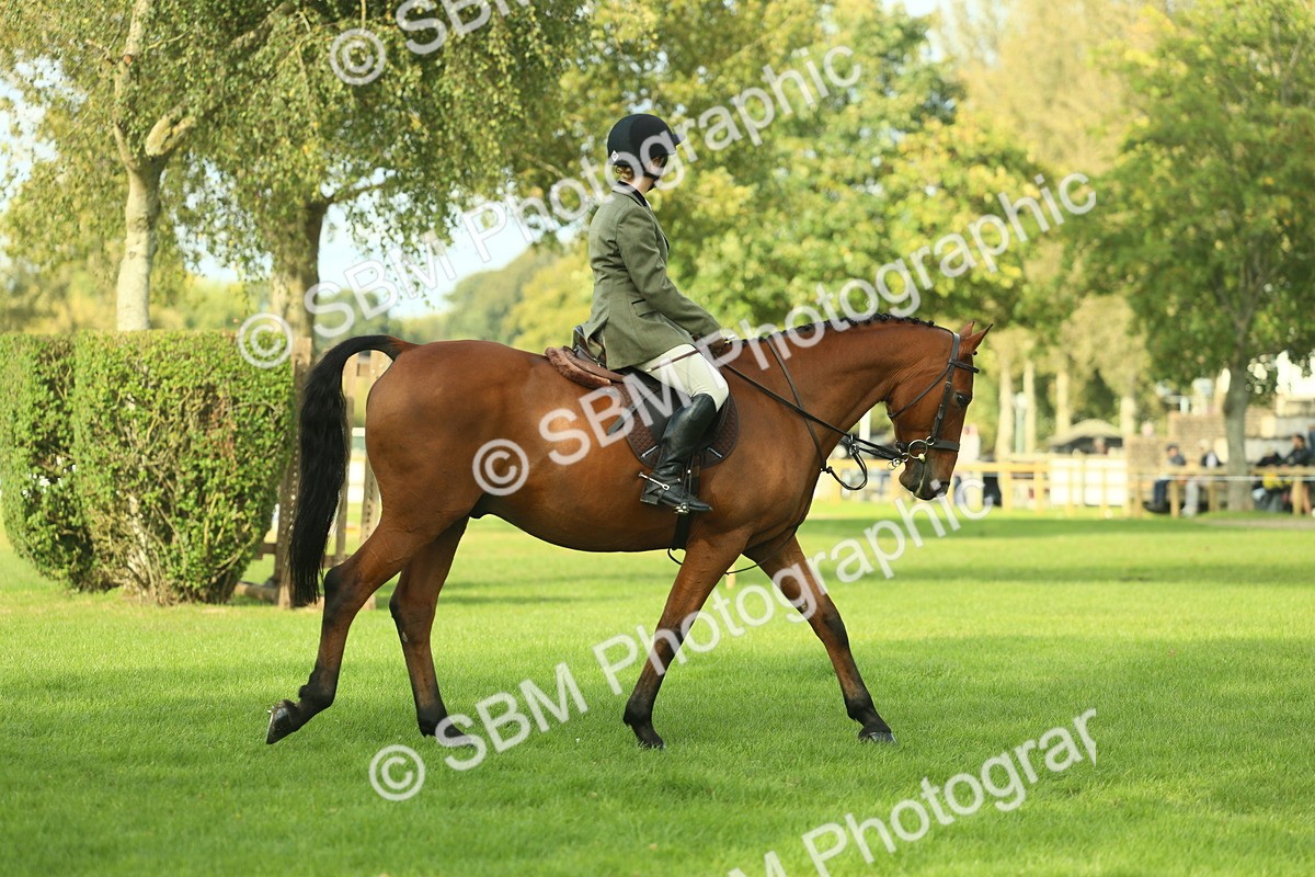 SBM_50656 - S33 - Working Hunter & Working Show Horse