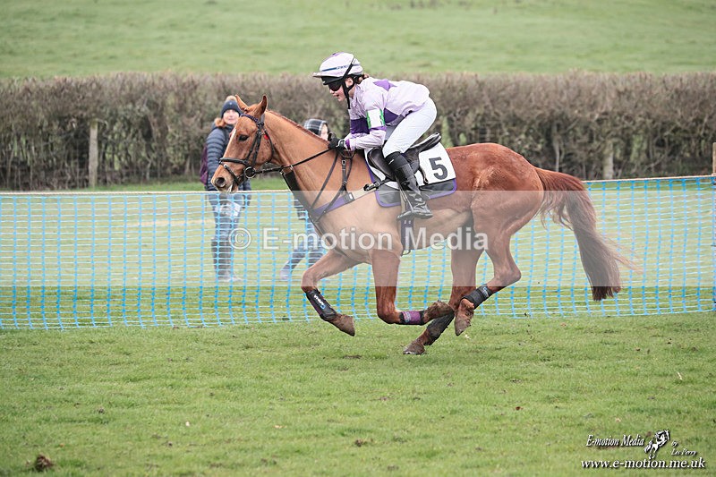PR PtP 080326 462 - Guilsborough Pony Races 08/03/26