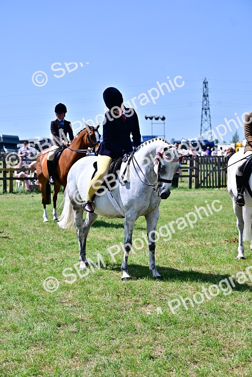 SBM_15427 - Class 95-97 - BSPS LHS Performance Ponies