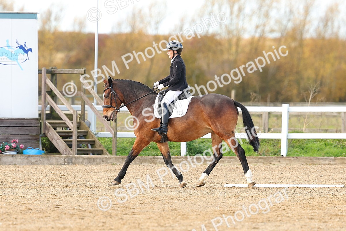 SBM_000878 - Novice 5