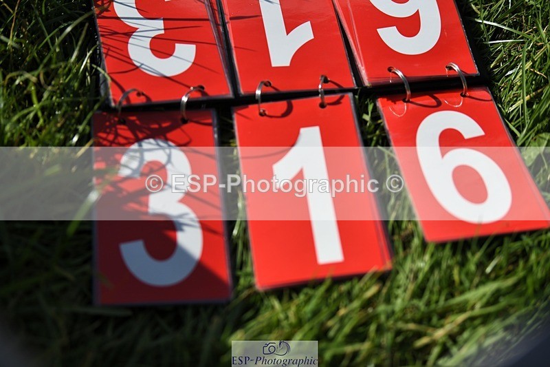 231022-125636-28641 - 316-I.ELLIE.JAY.BUMBLE-Henrietta.Ewell-XC