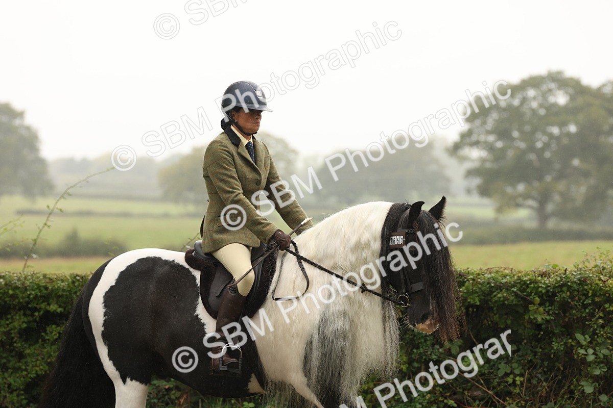 SBM_72661 - S70 - Traditional Cob Ridden