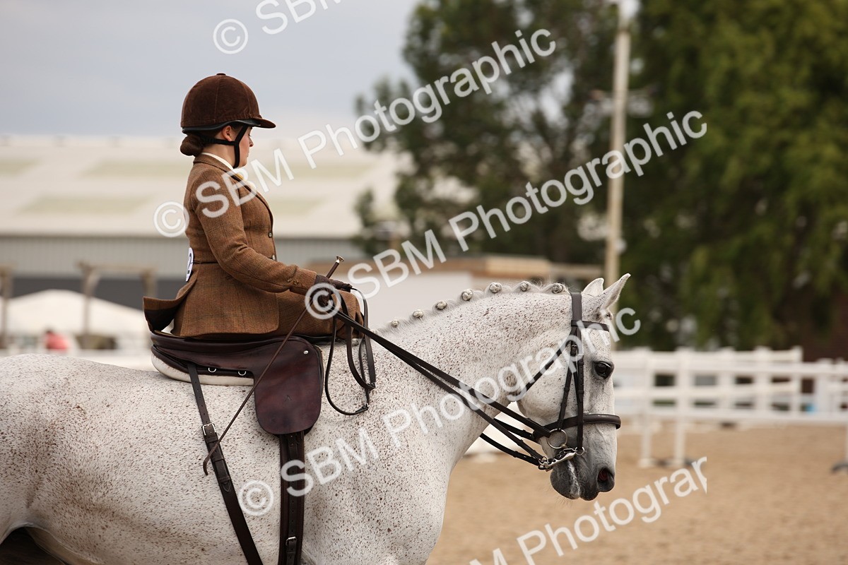 SBM_05419 - Class 22 SSA Equitation