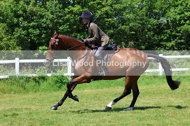 3E7A7533 - Class 31: Working Hunter Cob/Riding Horse