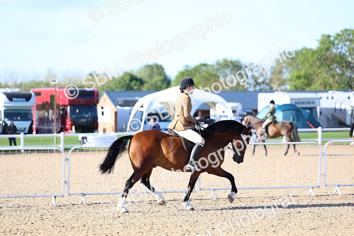 SBM_08748 - Class 302 - Ridden M&M - Large Breeds