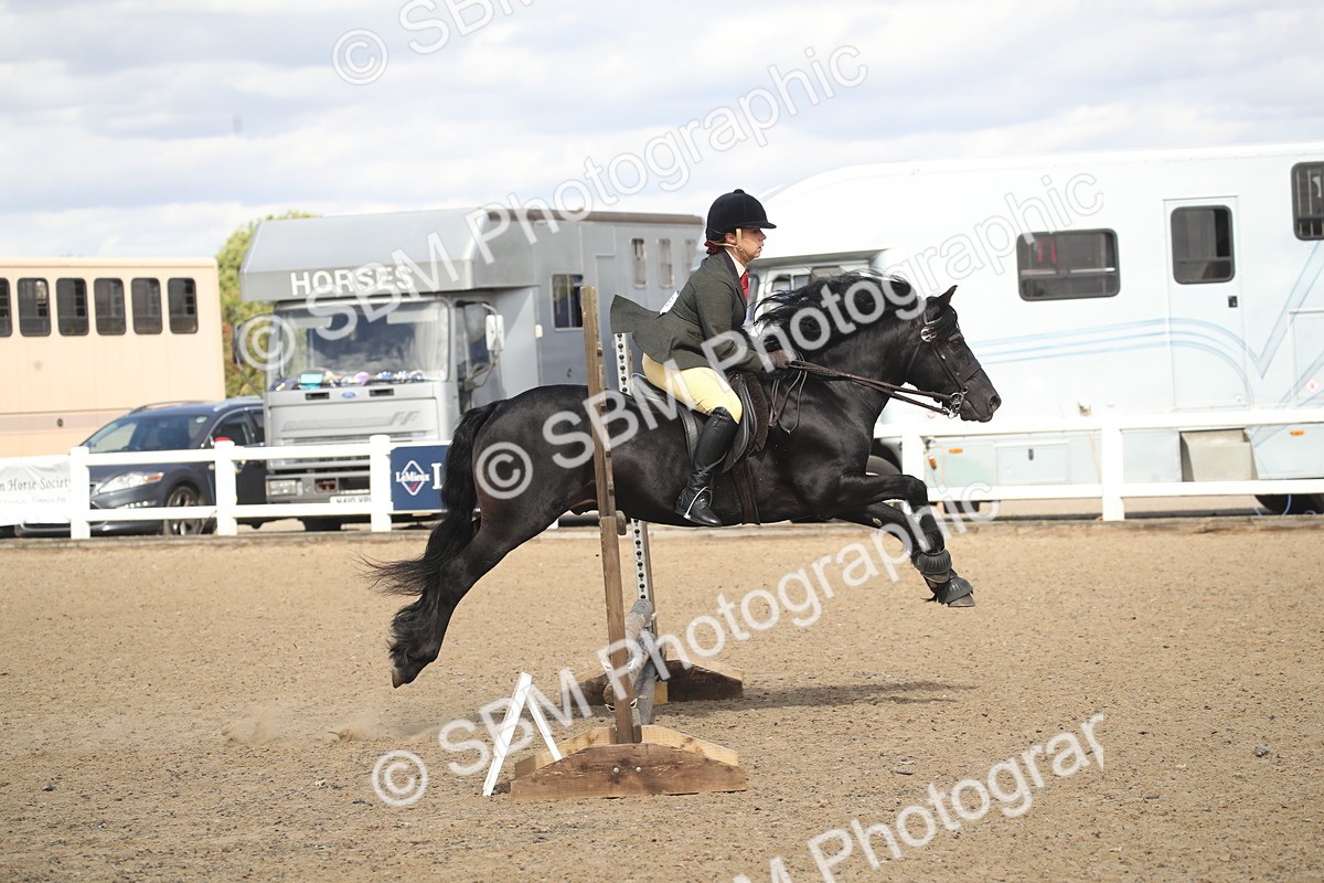 SBM_15166 - Class 505b - M&M Working Veteran - 50cm (20+)