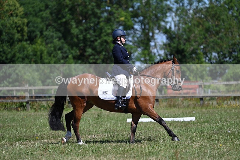 WJ7_0264 - Time 11:00am to 11:27am