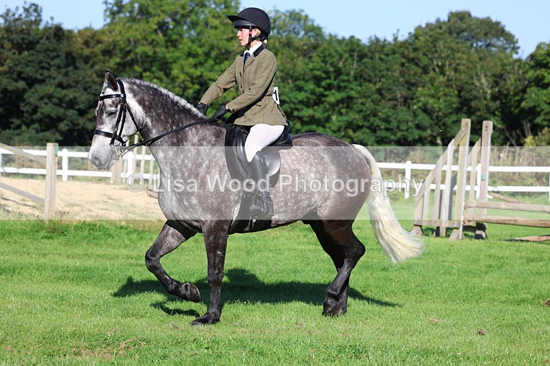 3E7A7627 - Class 1: Novice Working Hunter Pony