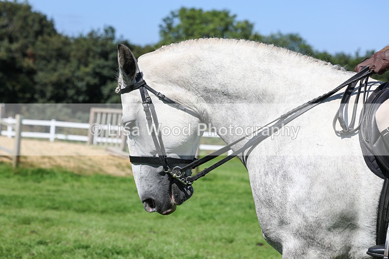 3E7A8443 - Class 4: Novice working Hunter