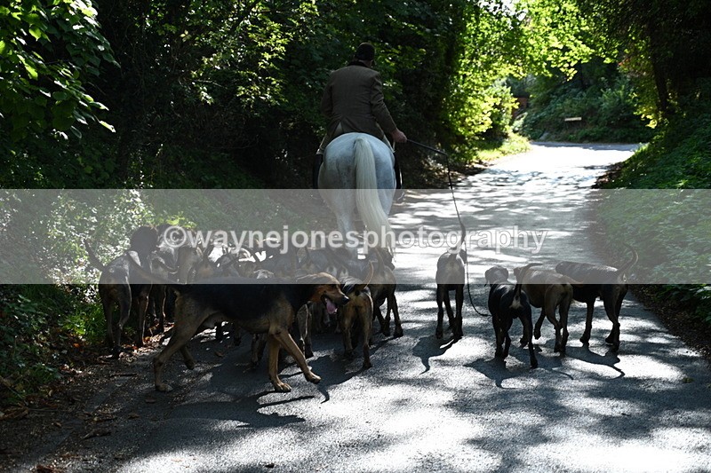 WJ7_6031 - Hounds Water Crossing
