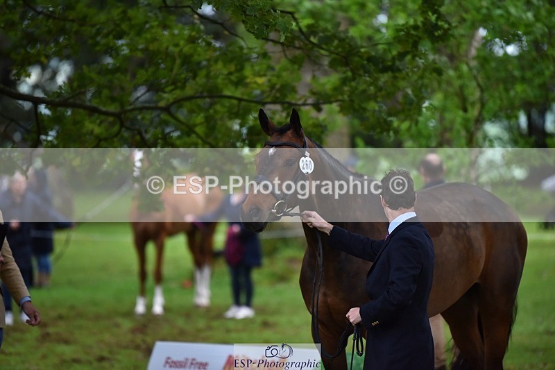 240522-164912-01175 - 260-WATERVALLEY_ROYAL_GUY-Harry_Meade