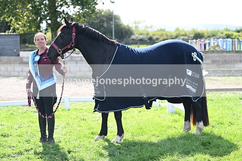 WJ7_1719 - 80cm Champs