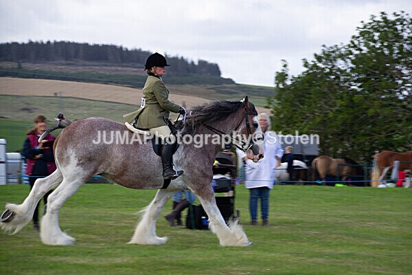 DSC_0237 - Ring 1
