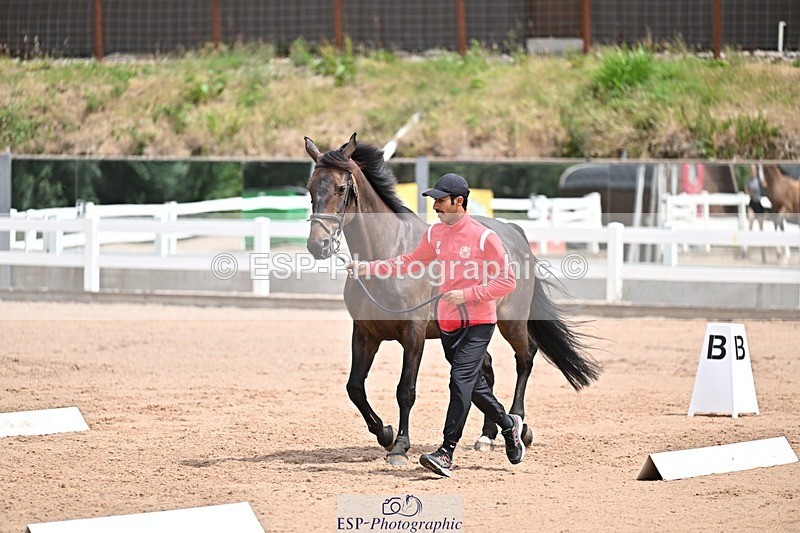250716-132048-00443 - Trot Up 12.30 to 1.30