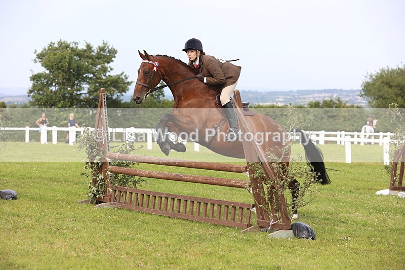 JPP_4177 - Class 25: Working Show Horse