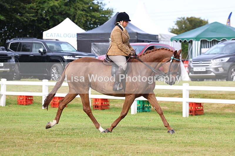 3E7A7987 - Class 2: Rising Star Large Hack/Riding Horse