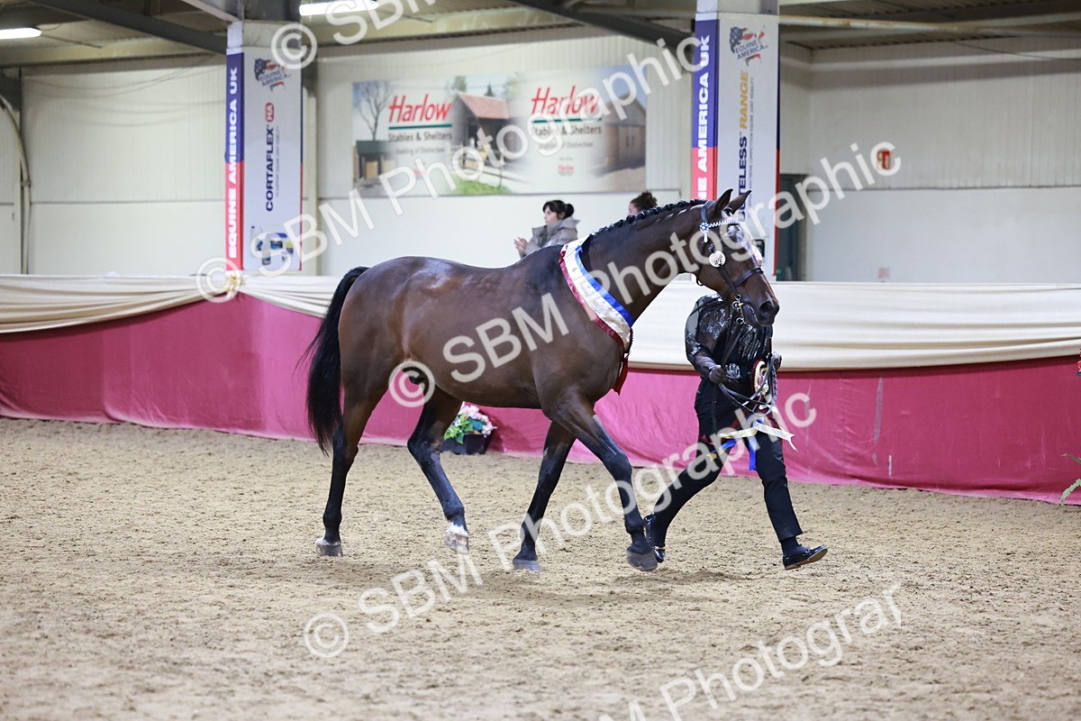SBM_20647 - Class I - Ridden Pony Champ
