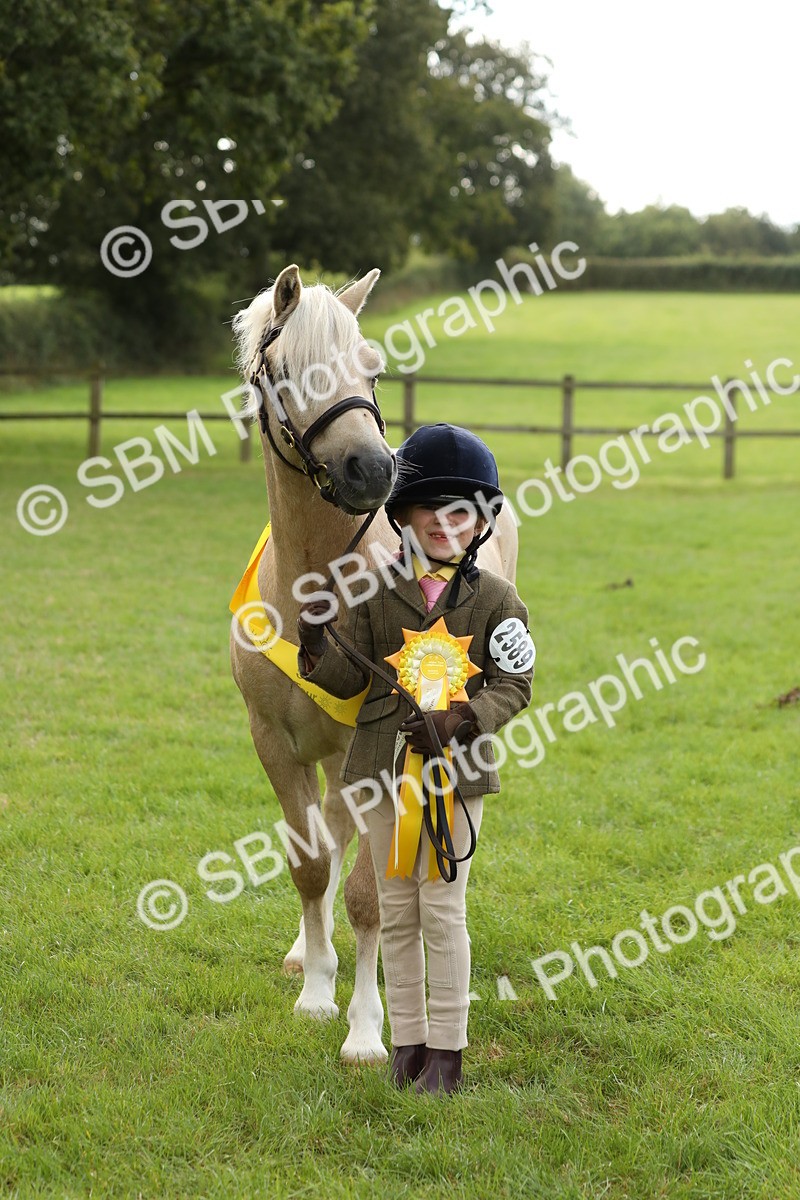 SBM_62849 - S46 - Mountain & Moorland In Hand Small Breeds