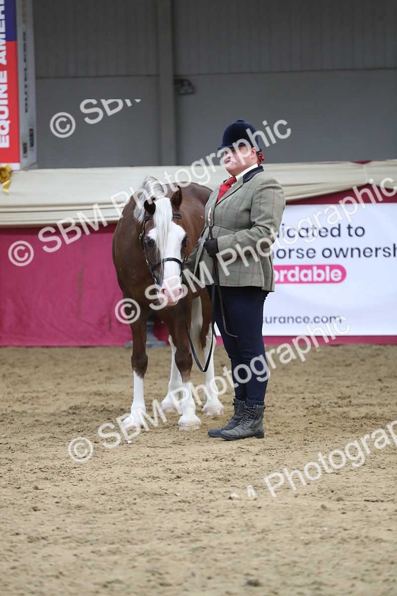 SBM_06438 - Class 9R Regional- IH Pre Vet
