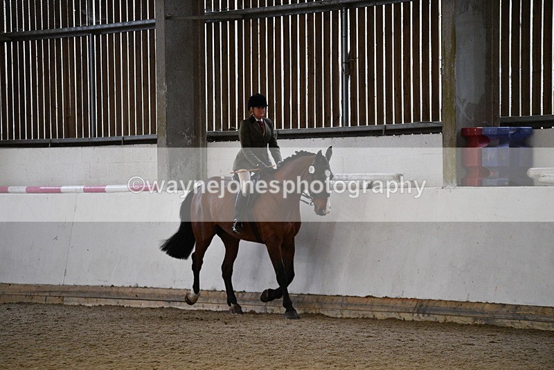 WJ5_8774 - Class 15 Ridden Show Horse