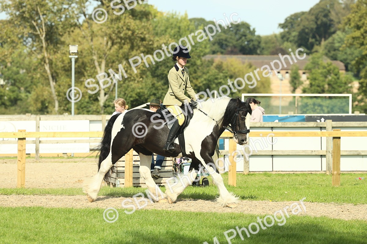 SBM_67593 - S56 - Coloured Pony Ridden