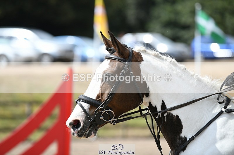 250822A-113948-21336_NAF Round 1 1130 to 1250 - 075-426-0312