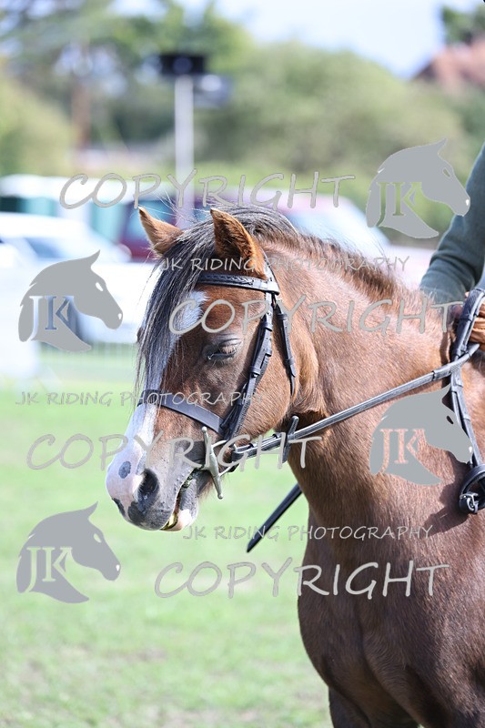 APP_4013 - Class 14 First ridden