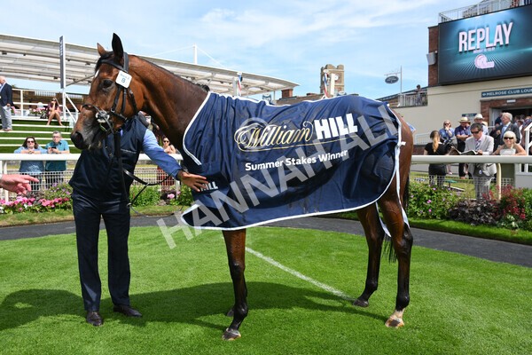 yr08072022r2-45 - Race 2 2.40pm William Hill Summer Stakes