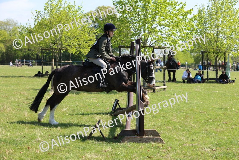 20250427-2485 - Class 19 - Mini Working Hunter