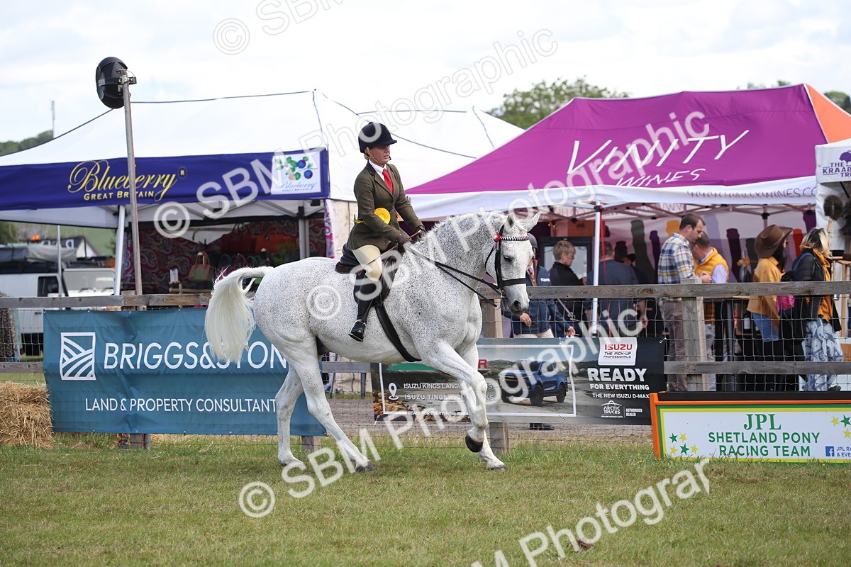 SBM_13289 - Class 95-96 - LIHS BSHA Rising Star Hack Riding Horse