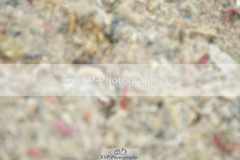 230708A-144143-02971 - Elementary 43