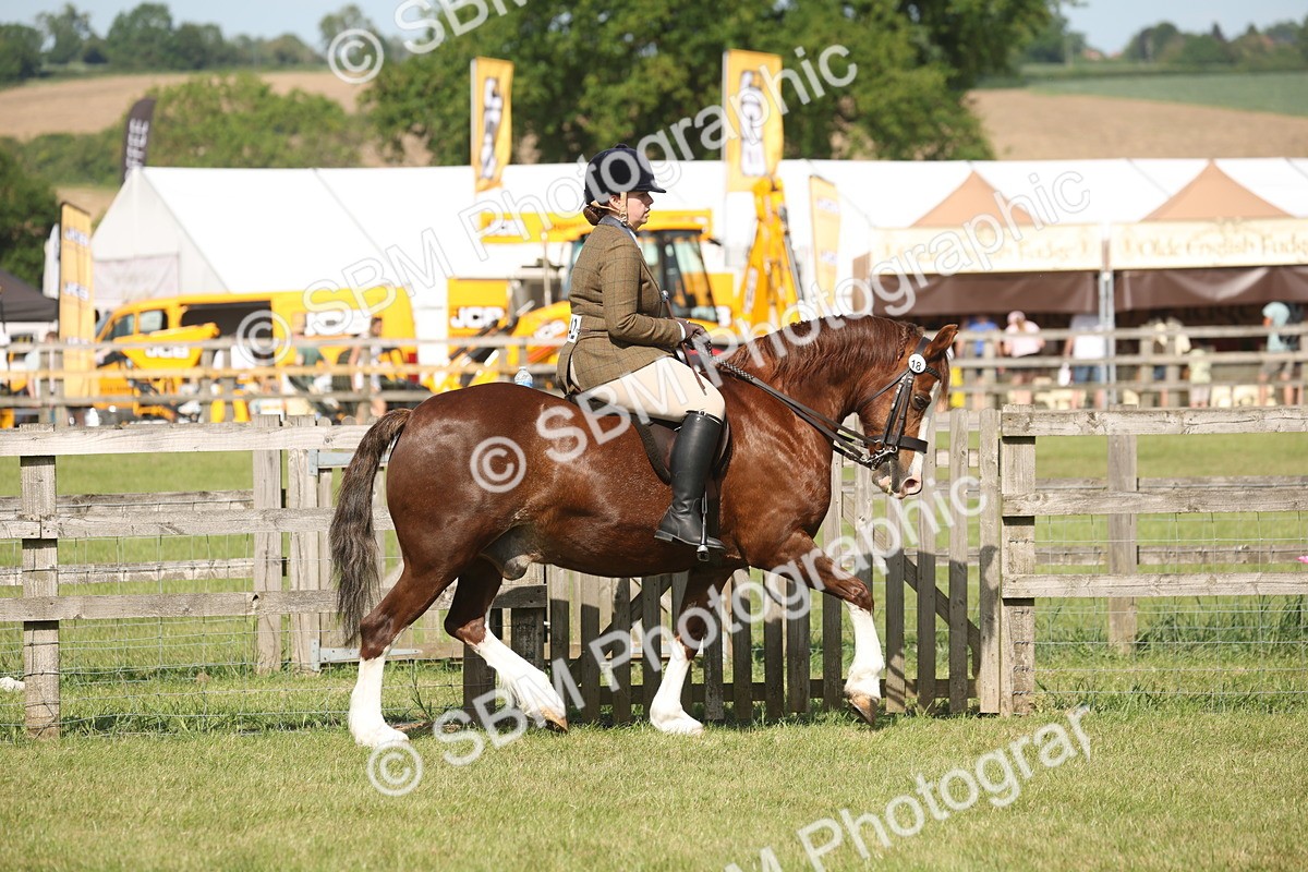 SBM_09538 - Class 33-38 - SSADL RIHS Qualifiers