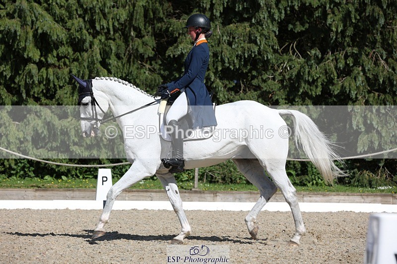 230526-162953-07833 - 172-VELOUMANI_TESS_LY-Aliene_Ruyter-WEDTrotUp+DR