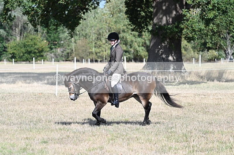 WJ7_2926 - Class 8 Ridden Tack & Turnout