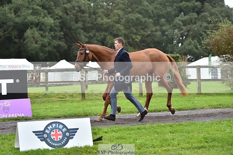 231018-121930-00207 - 069-LUSUELA-Will.Furlong-TrotUp