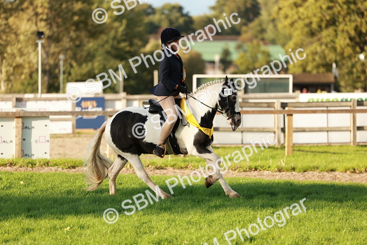 SBM_29290 - Novice & newcomer Supreme Championship